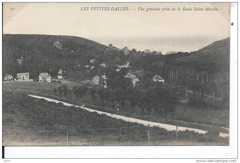 LES PETITES DALLES - Vue Générale Prise De La Route Saint-Martin - Autres & Non Classés