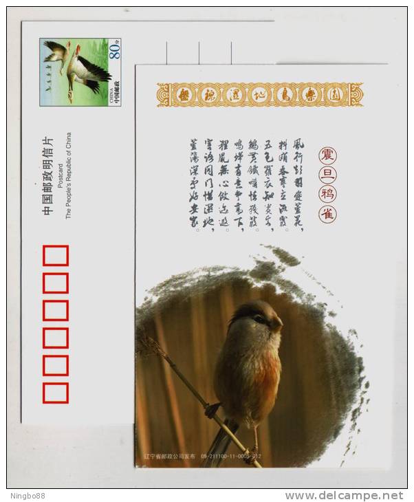 Chinese Special Bird Species Reed Parrotbill,China 2009 Panjin Wetland Bird Paradise Small Size Pre-stamped Card - Moineaux