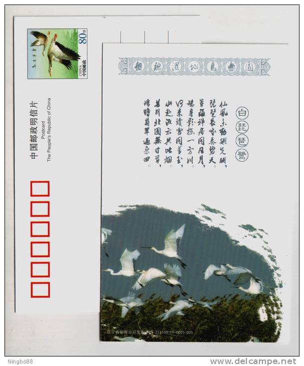 Eurasian Spoonbill,China 2009 Panjin Wetland Bird Paradise Small Size Pre-stamped Card - Ooievaars