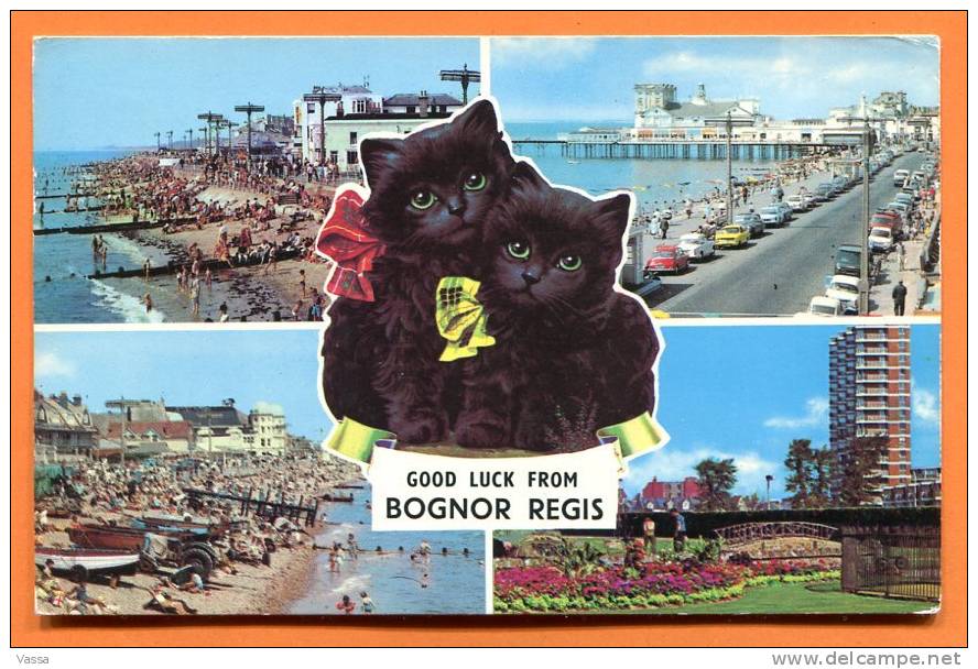 Good Luck From BOGNOR REGIS.  Black Cats , Chats Noirs. Franked 1972 , Cat - Bognor Regis
