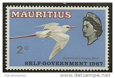 Mauritius 1967 Birds Aves Oiseaux Vegels - Red-tailed Tropicbird  - Phaethon Rubricauda MLH - Seagulls