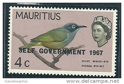 Mauritius 1967 Birds Aves Oiseaux Vegels - Mascarene Swiftlet - Aerodramus Francicus MLH - Zwaluwen