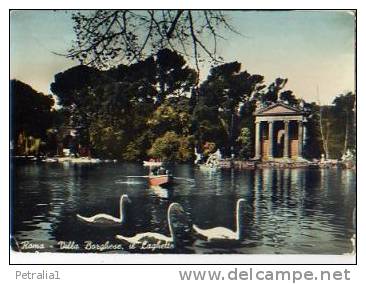 Laz 8328	Roma &ndash; Villa Borghese &ndash; Il Laghetto - Parques & Jardines