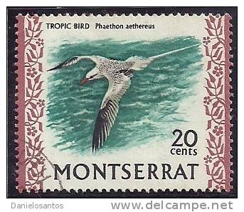 Montserrat 1970 Birds Aves Oiseaux  Vegels - Red-billed Tropicbird - Phaethon Aethereus Canc - Marine Web-footed Birds