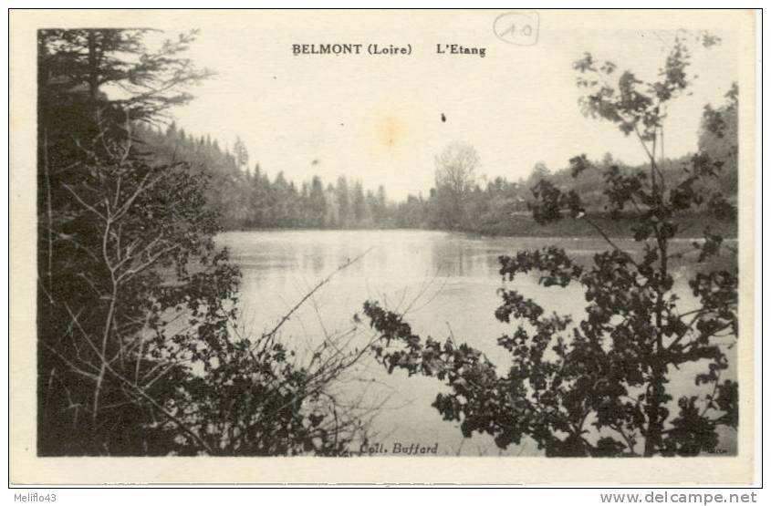 42/CPA - Belmont - L'Etang - Belmont De La Loire