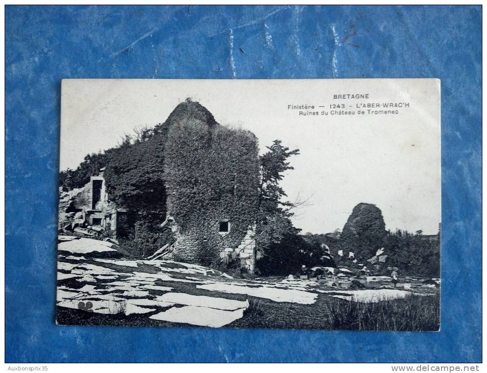 CPA - CARTE POSTALE - ABER WRAC'H - RUINES DU CHÂTEAU DE TROMENEC - 29 - Autres & Non Classés