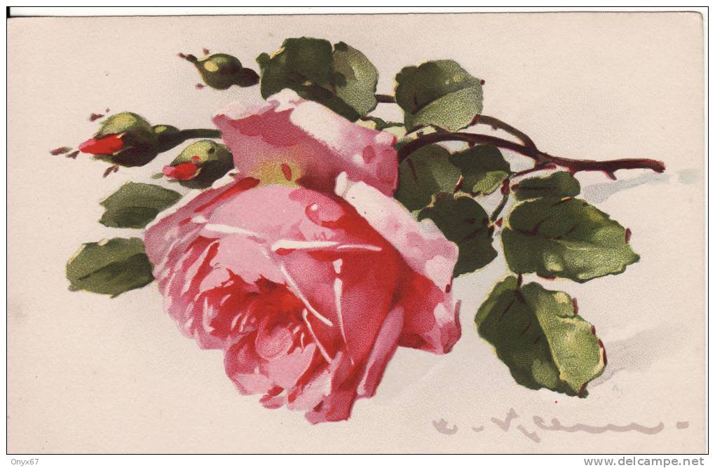 Carte Postale Fantaisie C.KLEIN - FLEUR  - ROSE -  Illustrateur - VOIR 2 SCANS - - Klein, Catharina