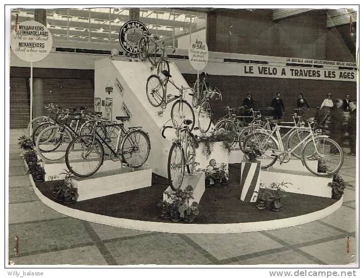 Photo Documents : Salon Du Cycle De Gand - Fédération Nationale Des Détaillants Du Cycle - Cyclisme