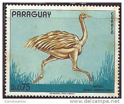 Paraguay 1972 Birds Aves Oiseaux  Vegels - Greater Rhea    Rhea Americana MNH - Autruches