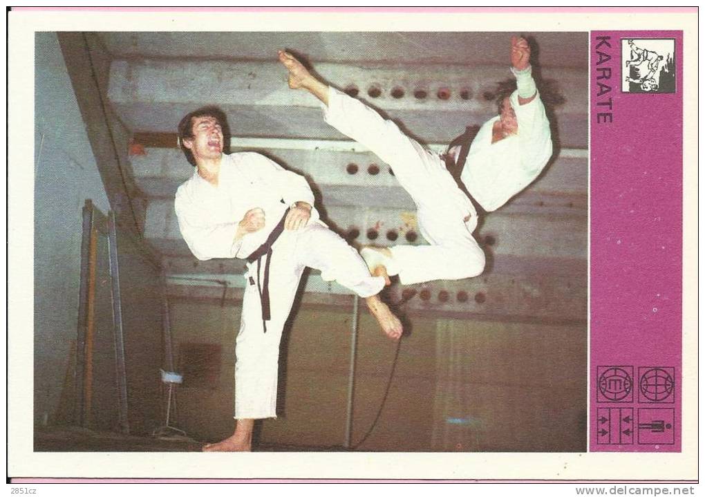 SPORT CARD No 214 - KARATE, Yugoslavia, 1981., 10 X 15 Cm - Sports De Combat