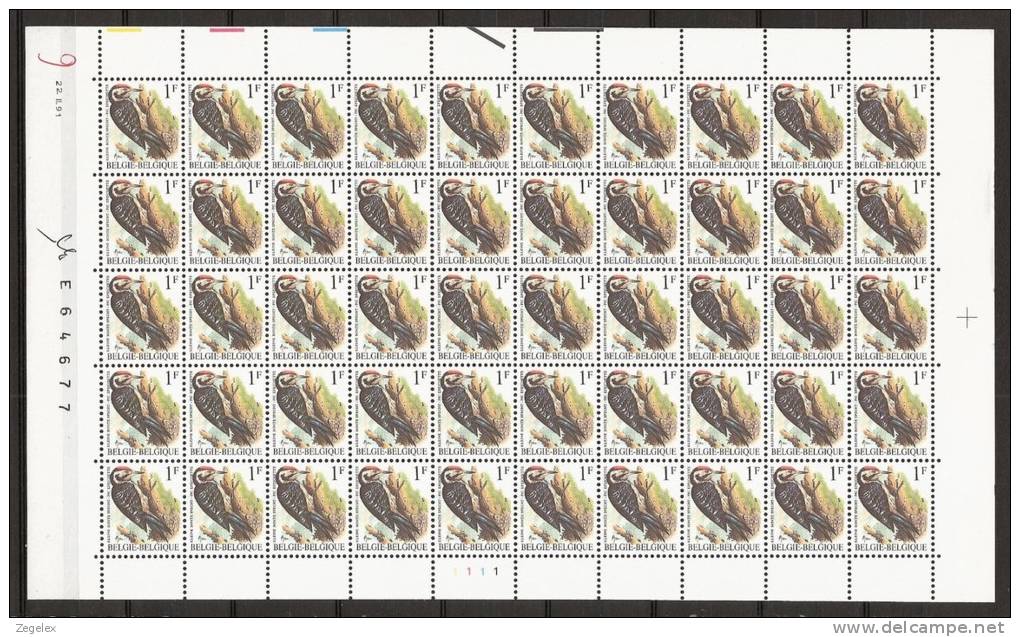 Belgium 1990 - Sheet Of 50 Birds - MNH/**/postfris - Kleine Bonte Specht - Feuilles Complètes & Feuillets