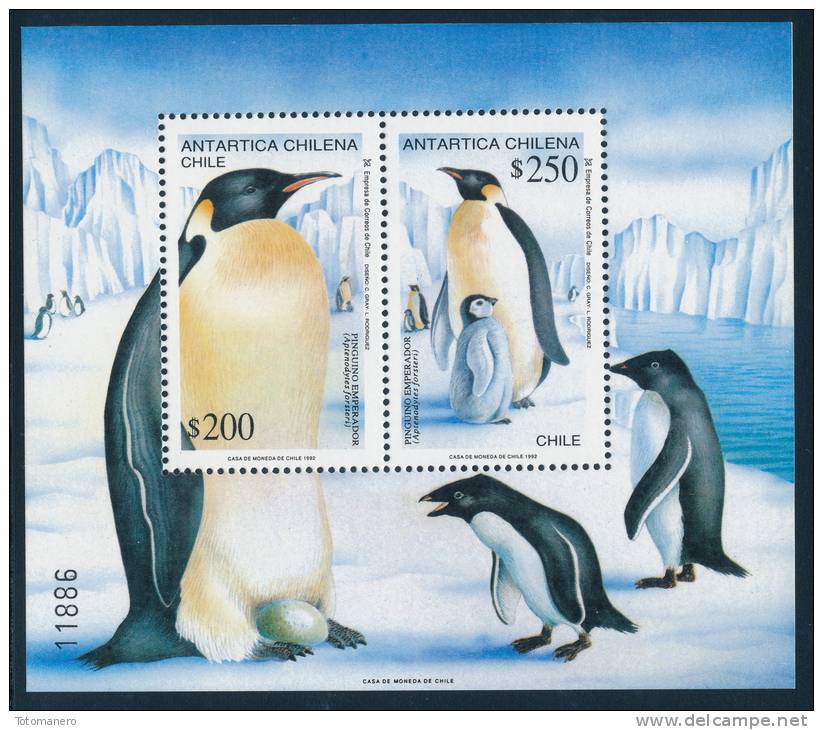 CHILE 1992 ANTARTICA CHILENA PENGUINS/Pinguino Emperador Souvenir Sheet** - Antarktischen Tierwelt