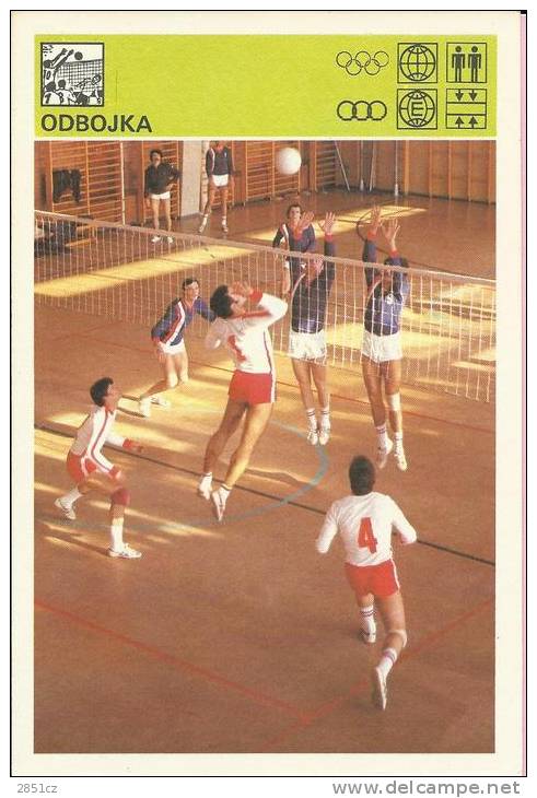 SPORT CARD No 239 - VOLLEYBALL, Yugoslavia, 1981., 10 X 15 Cm - Handball