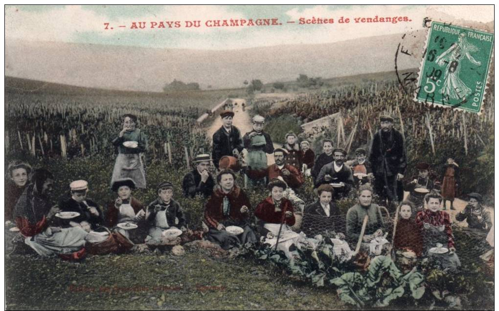 Cpa  , Au Pays Du Champagne , Scenes De Vendanges , Belle Animations - Autres & Non Classés