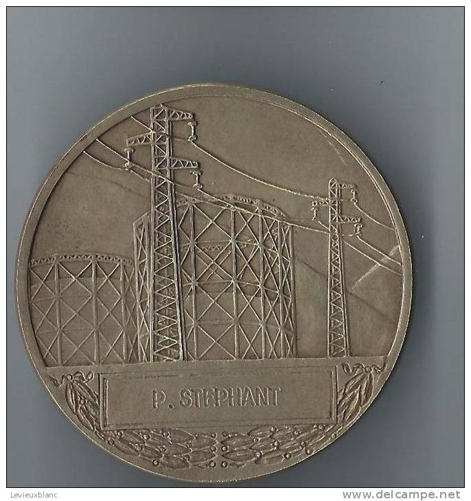 Médaille Electricité Et Gaz De France /vers 1950      D208 - Altri & Non Classificati