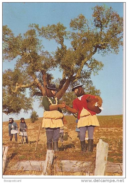 Beja - Évora - Portalegre - Costumes Do Alentejo - Beja