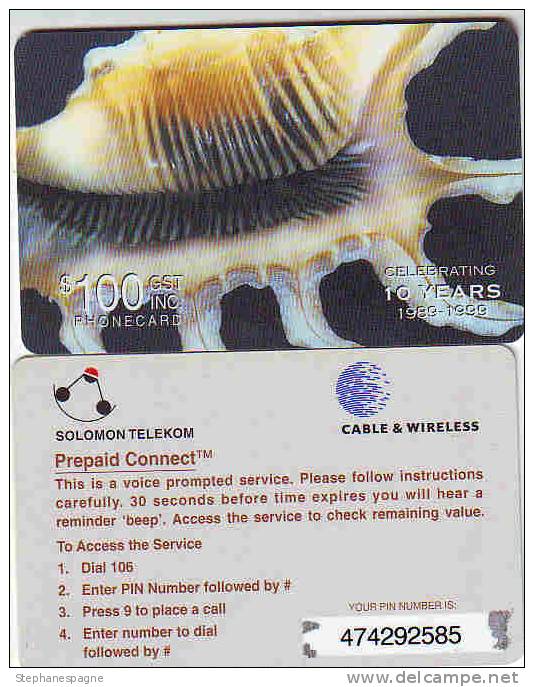 SALOMON 1999  /SHELL / COQUILLAGE RRR  100USD - Solomon Islands