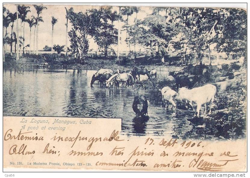 CUBA - 1906 - MANAGUA Laguna - Cuba