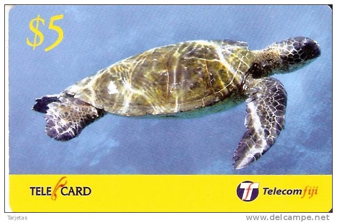 TARJETA DE LAS FIJI DE UNA TORTUGA (TURTLE) - Tortugas