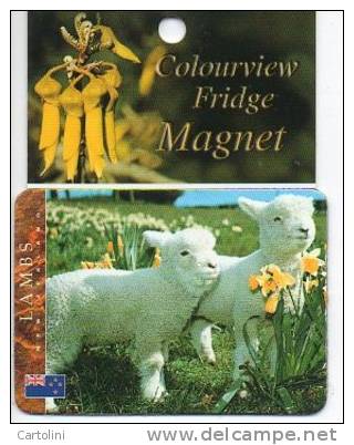 Schapen Moutons Sheep Schafe Lambs Lam New Zealand Magneet Magnet Magnete - Animaux & Faune