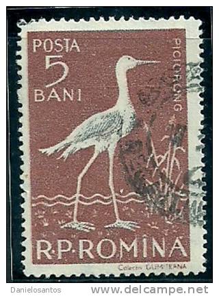 Rumania Romania 1957 Birds Aves Oiseaux Vegels Back-winged Stilt -Himantopus Himantopus Canc - Albatros