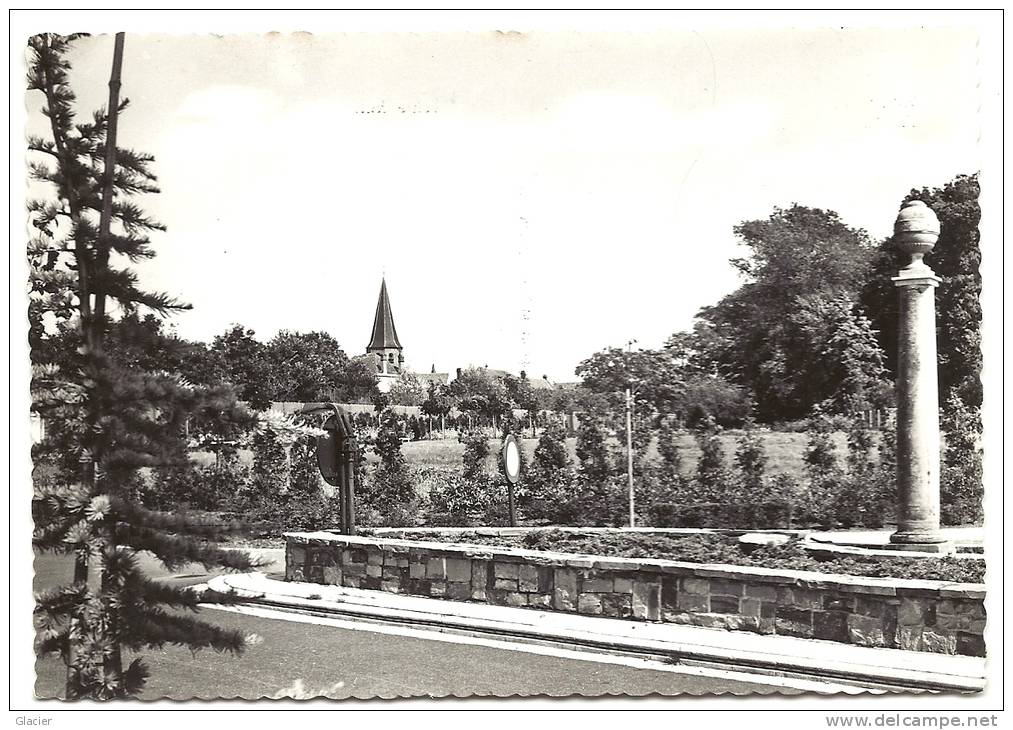 ZWEVEZELE - Wingene - Panorama - Echte Foto - Wingene