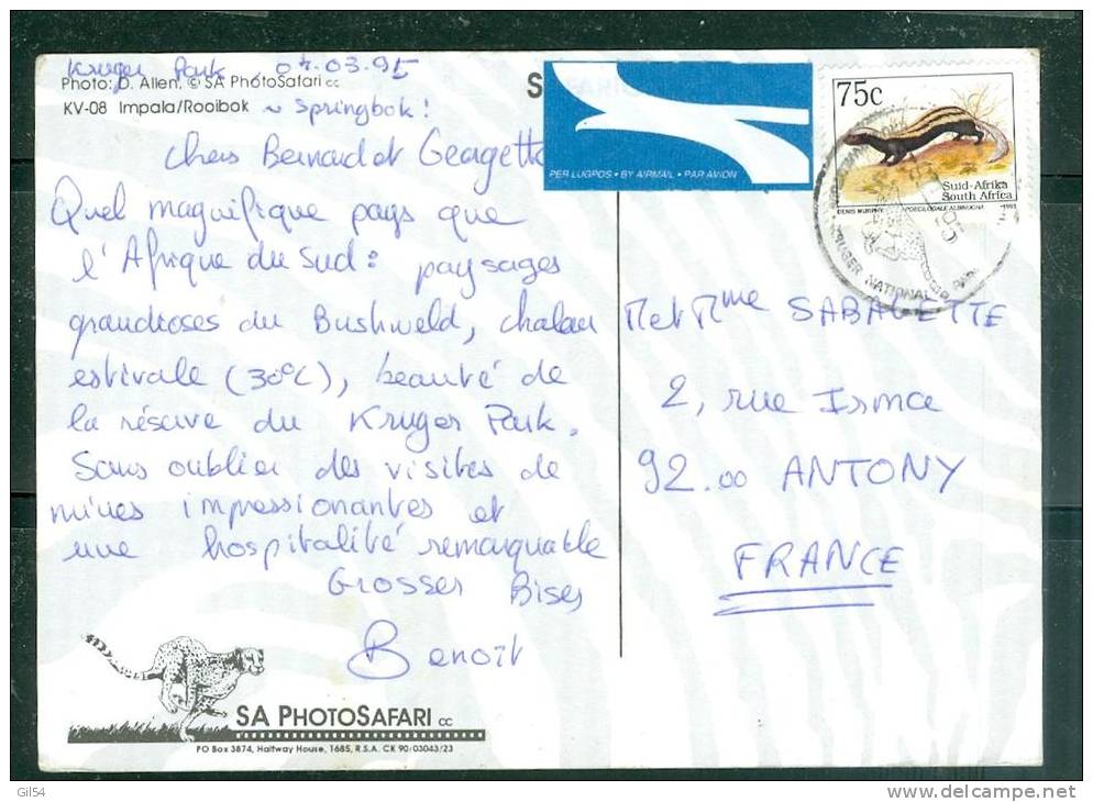 Carte Postale D'afrique Du Sud Affranchie Pour La France En 1995 - LL15303 - Lettres & Documents