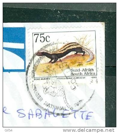 Carte Postale D'afrique Du Sud Affranchie Pour La France En 1995 - LL15303 - Brieven En Documenten