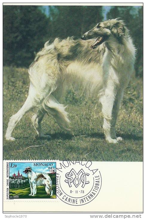 MONACO - Exposition Canine Internationale  - Timbre Et Tampon Jour D'émission - Maximumkaarten