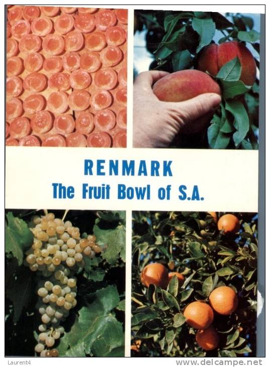 (354) Australia - SA - Renmark And Fruits - Autres & Non Classés