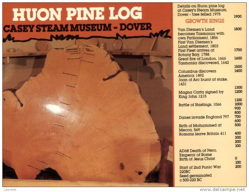 (888) Australia - TAS  -Dover Casey Museum - Huon Pine Log - Autres & Non Classés
