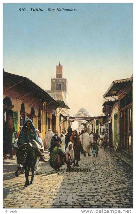 TUNIS - Rue Halfaouine - Ed. Lehnert & Landrock - 510 -        (3153) - Tunisie
