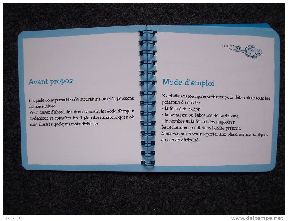 POISSON Qui Es-tu? Clé De Détermination Des Poissons Des Rivières Et Fleuves Français -Livret Carton Glacé - Fischen + Jagen
