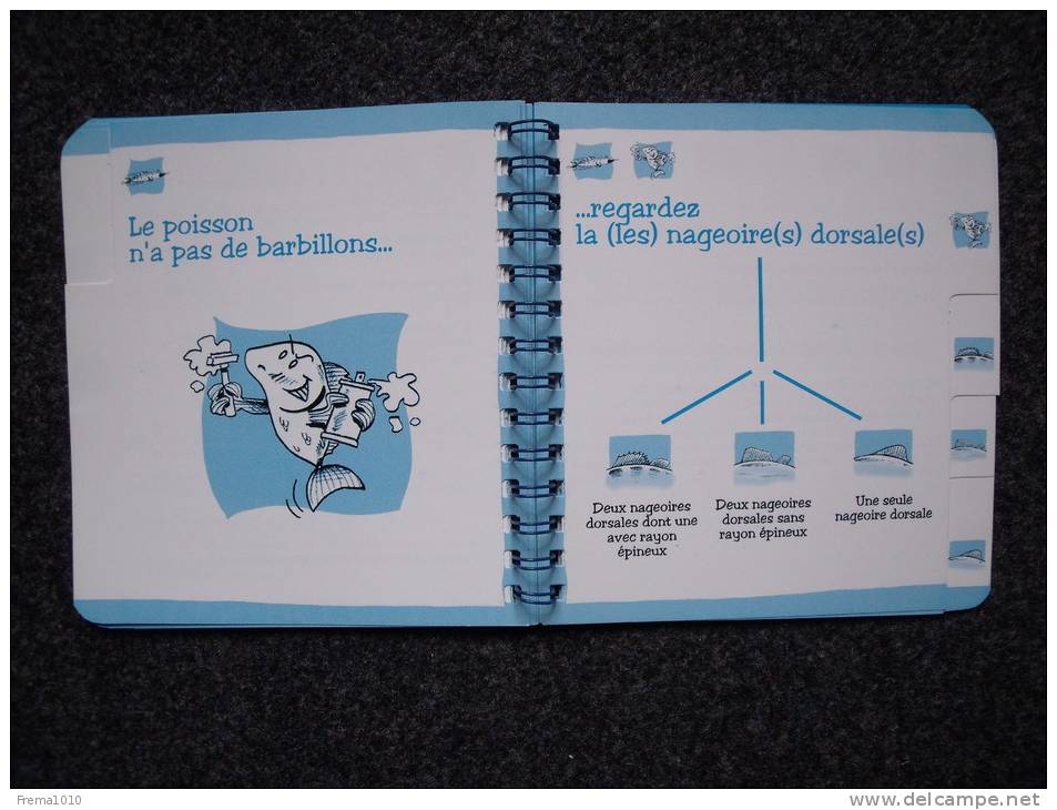 POISSON Qui Es-tu? Clé De Détermination Des Poissons Des Rivières Et Fleuves Français -Livret Carton Glacé - Fischen + Jagen