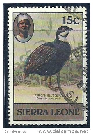 Sierra Leone 1980 Birds Aves Oiseaux Vegels - Blue Quail - Coturnix Adansoni Canc - Patrijzen, Kwartels