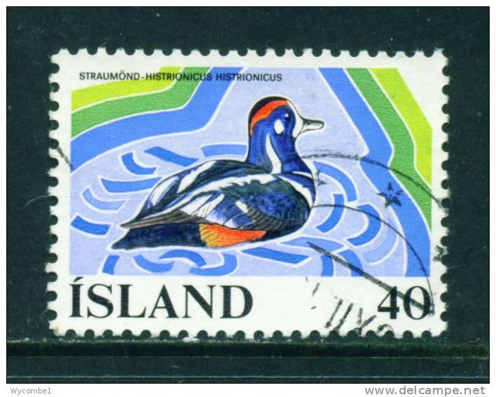 ICELAND - 1977 Harlequin Duck 40k Used (stock Scan) - Usati