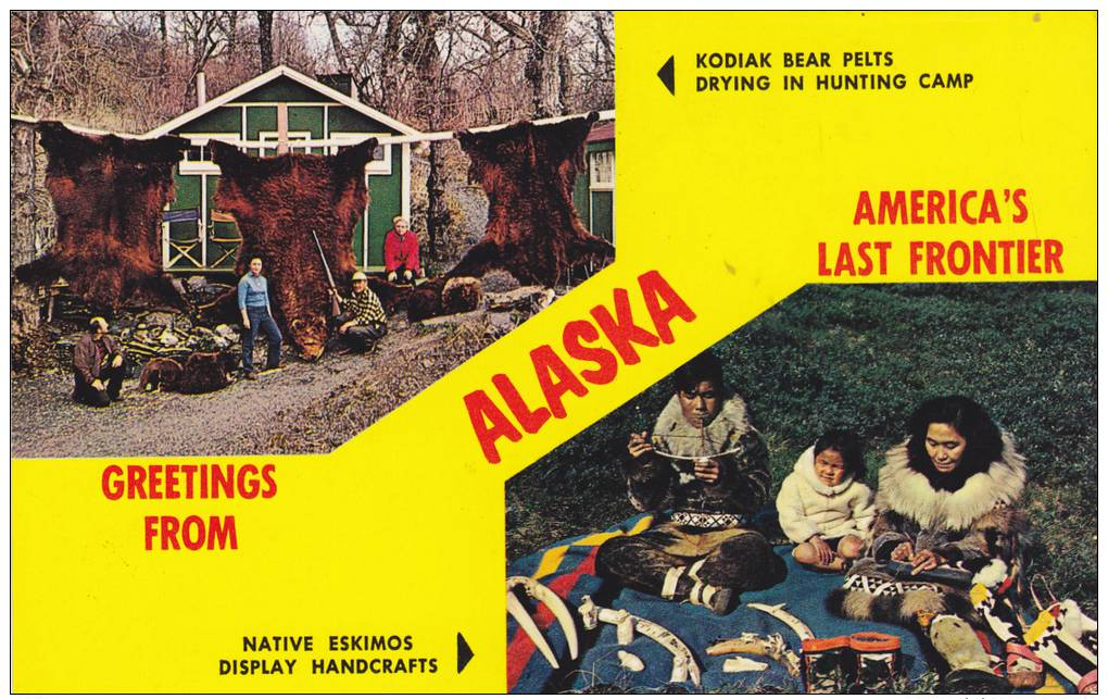 Scenic Greetings, Native Eskimos Display Handcrafts & Kodiak Bear Pelts Drying In Hunting Camp,  Alaska,   40-60s - Native Americans