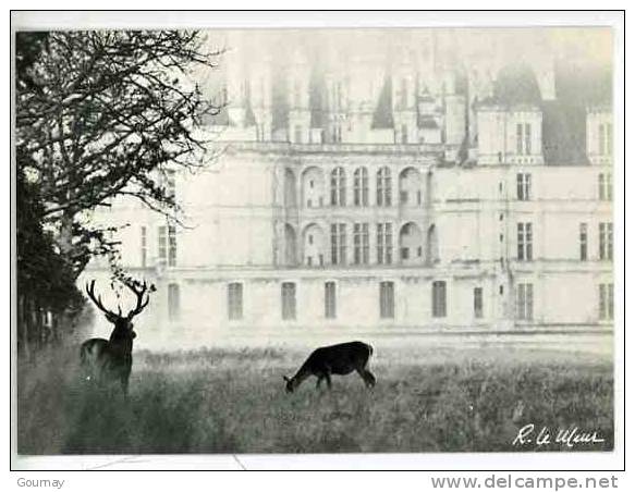 Chambord Forêt Réserve Enchantements De La Forêt : Un Couple Devant Le Chateau - Photo Le Meur N°41502 - Chambord