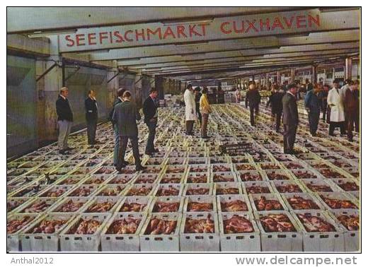 Cuxhaven Seefischmarkt Fische Verkaufshalle 18.9.1974 - Halles
