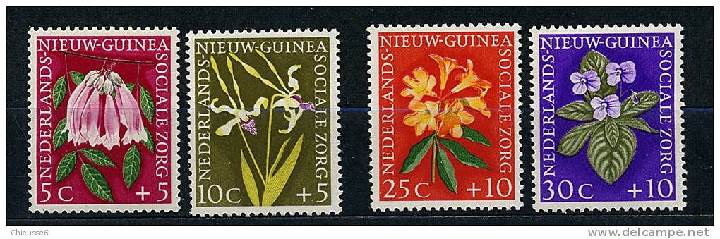 Nelle Guinée Néerlandaise** N° 52 à 55 - Fleurs - Nueva Guinea Holandesa