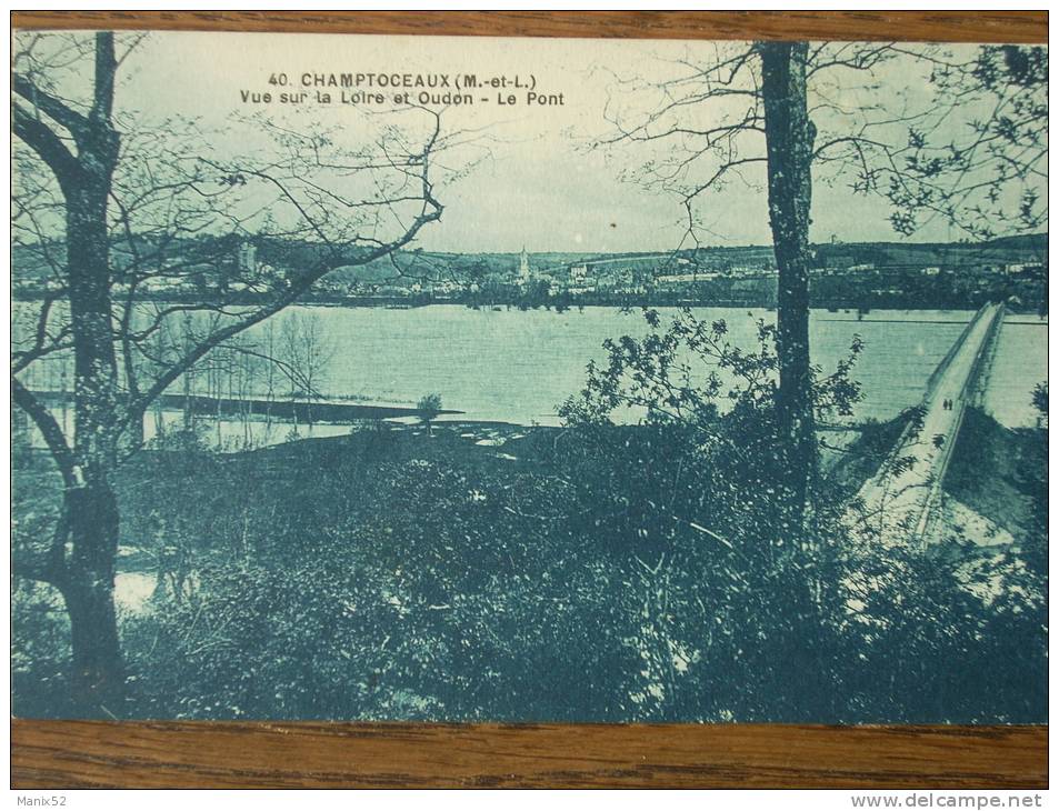 49 - CHAMPTOCEAUX - Vue Sur La Loire Et Oudon - Le Pont. - Champtoceaux