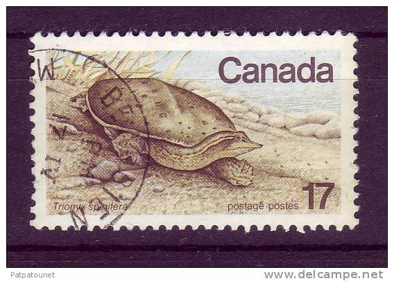 Canada YV 699 O 1979 Tortue - Tortues