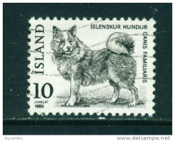 ICELAND - 1980 Dog 10k Used (stock Scan) - Usati