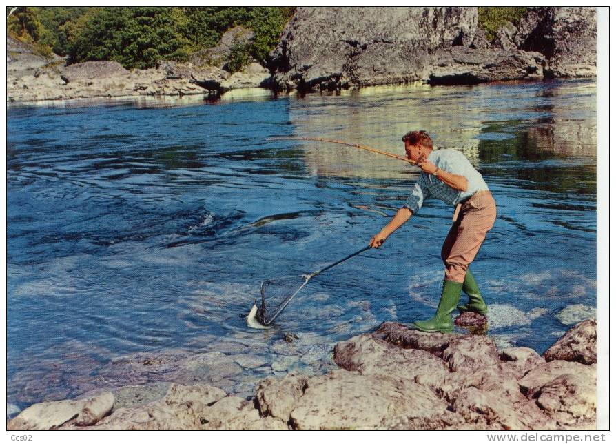 Norway Fast Fisk Exciting Moment 1977 - Norvège