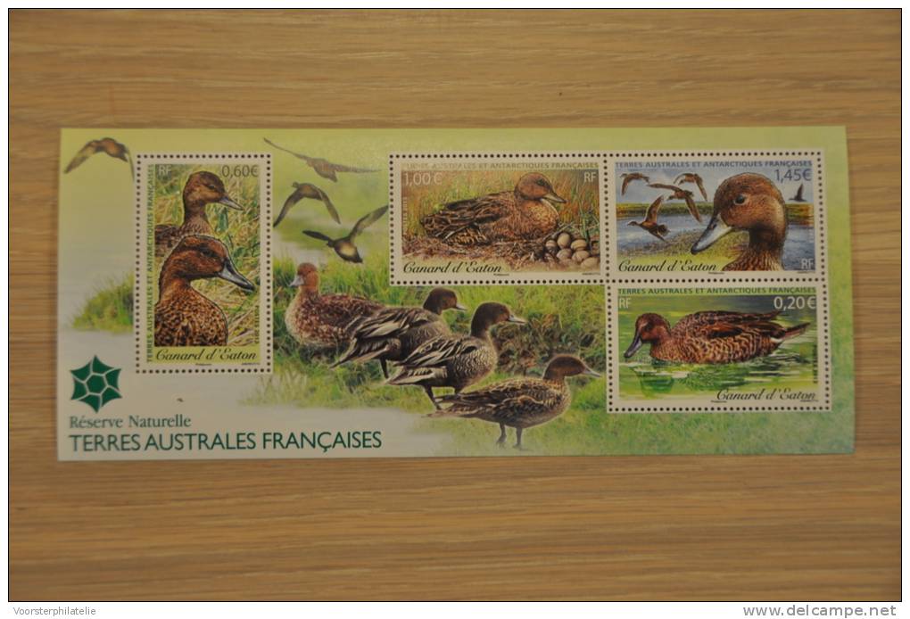 M1 - 77 ++ TAAF 2013 VOGELS BIRDS EEND DUCKS POSTFRIS MNH ** - Andere & Zonder Classificatie