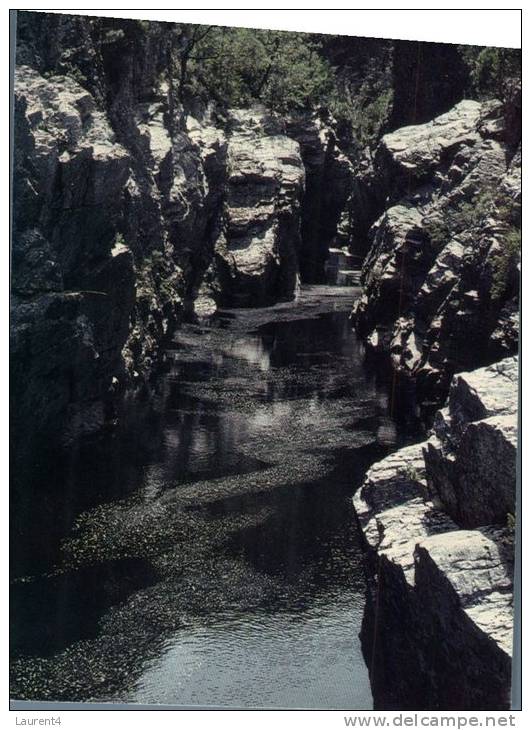 (666) Australia - TAS - Franklin River - Wilderness