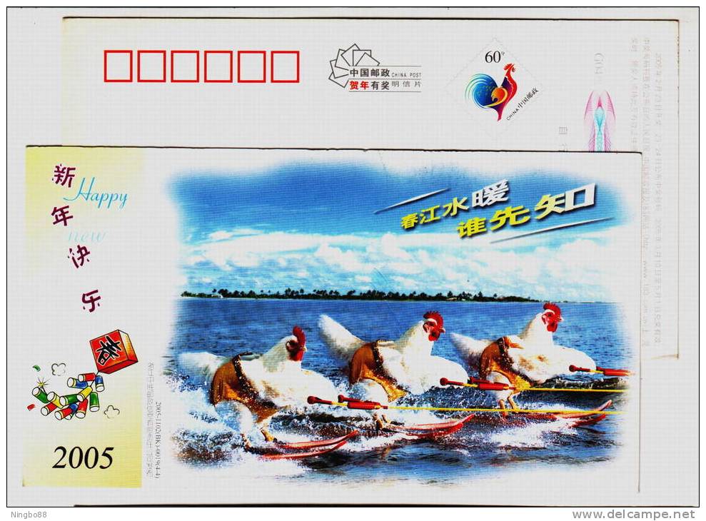 Chicken Water-skiing,China 2005 Lunar New Year Of Chinese Rooster Year Greeting Pre-stamped Card - Water-skiing