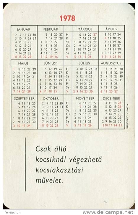 RAIL * RAILWAY * RAILROAD * TRAIN * HUNGARIAN STATE RAILWAYS * MAV * CALENDAR * Munkavedelem 1978 3 * Hungary - Formato Piccolo : 1971-80