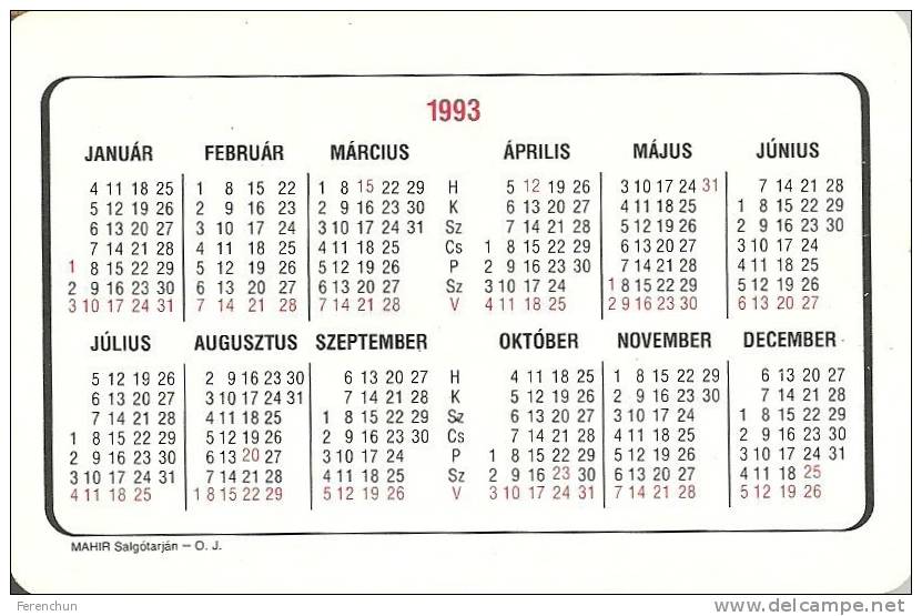 RAIL * RAILWAY * RAILROAD * TRAIN * HUNGARIAN STATE RAILWAYS * MAV * CALENDAR * Munkavedelem 1993 2 * Hungary - Formato Piccolo : 1991-00