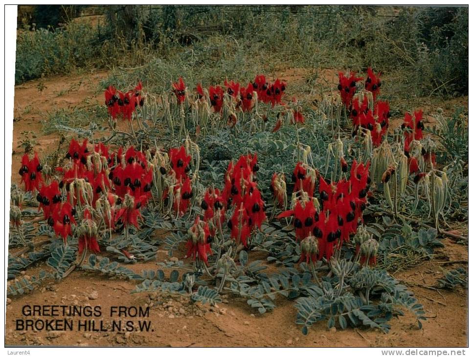 (333) Australia - NSW - Broken Hill - Broken Hill